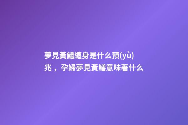 夢見黃鱔纏身是什么預(yù)兆，孕婦夢見黃鱔意味著什么-第1張-觀點(diǎn)-玄機(jī)派